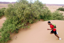 Video Atlas Mountain trail 2019